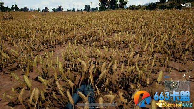 3dmgame